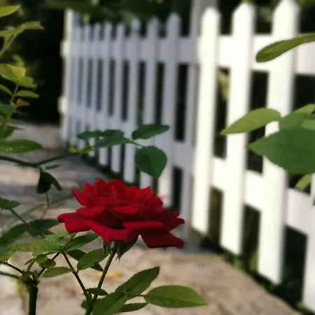 Nely's Luxury Appartamento *